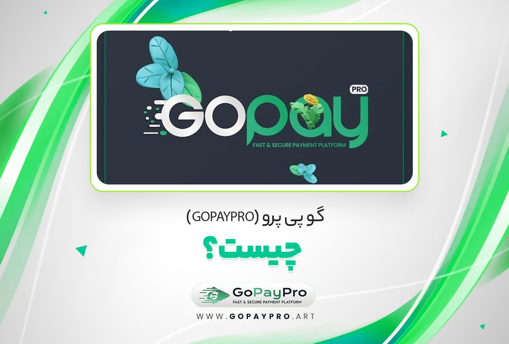گو پی پرو (GoPayPro) چیست؟